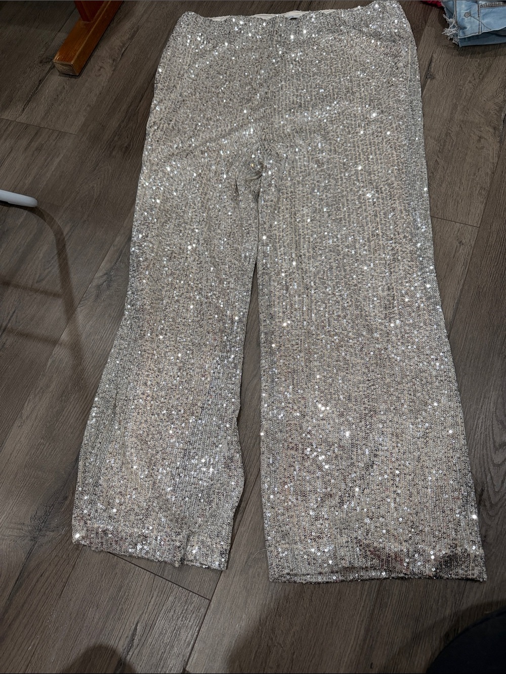 Ricki's Silver Sequin Skirt with Cream Lining